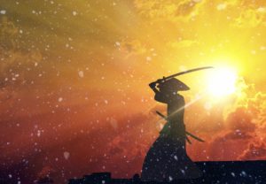 武家諸法度とは?目的や内容と参勤交代の知られざる謎についても言及!