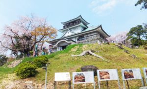 小牧長久手の戦いを解説！家康を救った天正大地震についても！