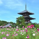 飛鳥時代の服装や文化と有名な人物!聖徳太子の謎についても考察!